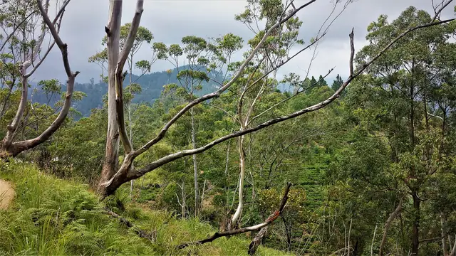 View from the Ella Rock hike