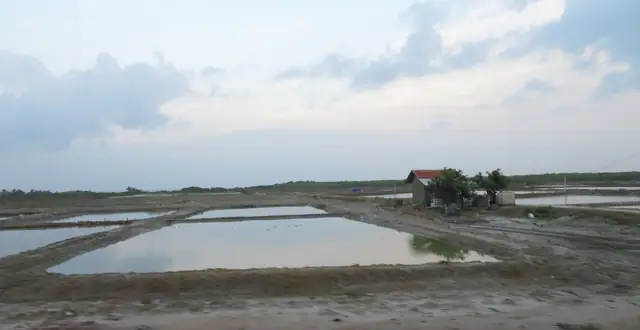 Salt pans in Kalpitiya