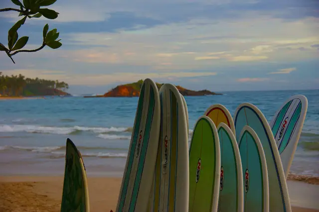 Surfboards in Mirissa