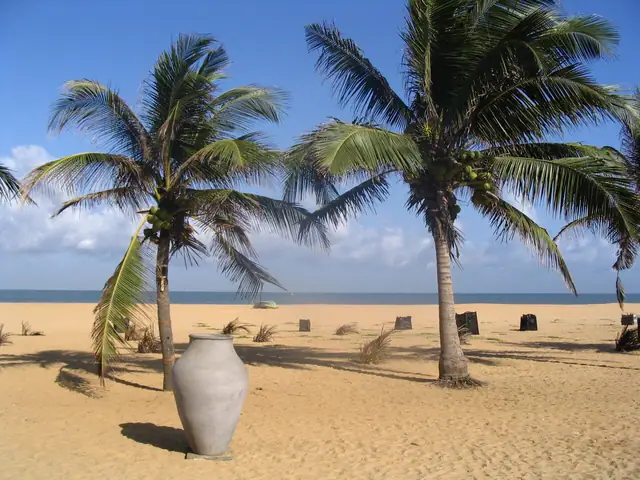 Negombo beach