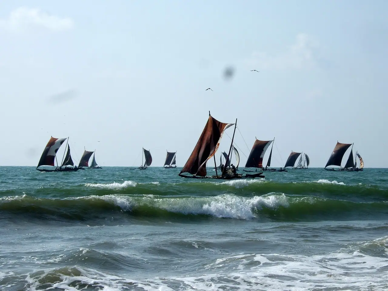 Boats near Negombo beach
