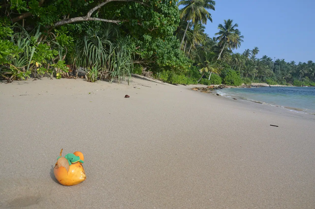 Tangalle coastline