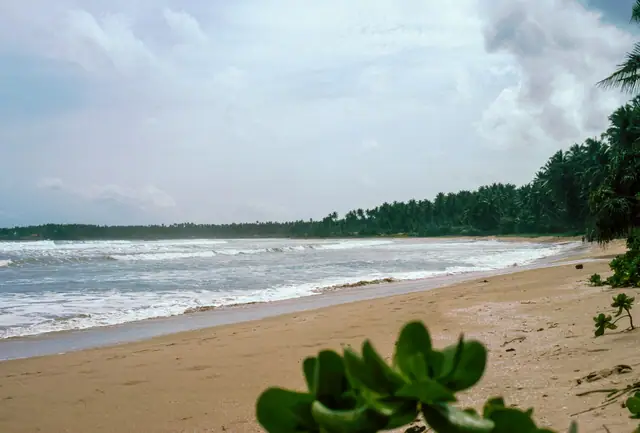 Weligama coast